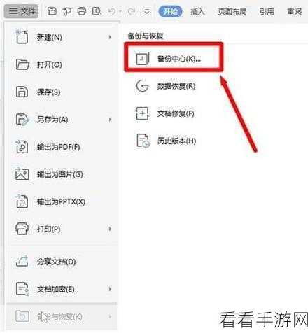 轻松掌握，WPS 备份文件查看秘籍