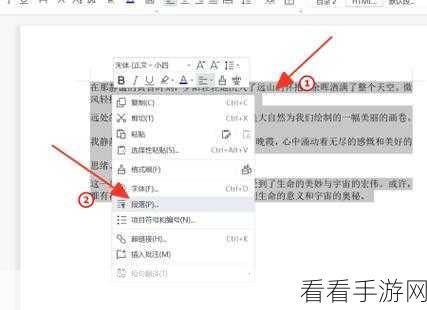 告别 WPS 表格字多下跳困扰，轻松搞定的秘诀在此！