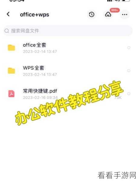 WPS 演示文稿电脑版，轻松设置视频未播放时隐藏秘籍