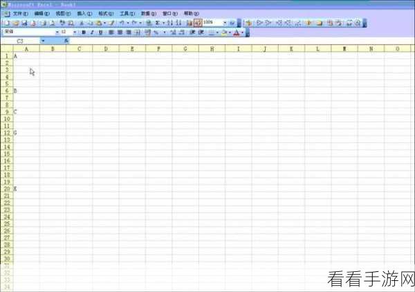 Excel 表格空白单元格精准选取秘籍