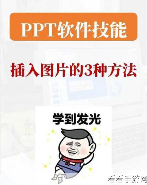 轻松掌握！WPS 演示电脑版图片插入图形框秘籍