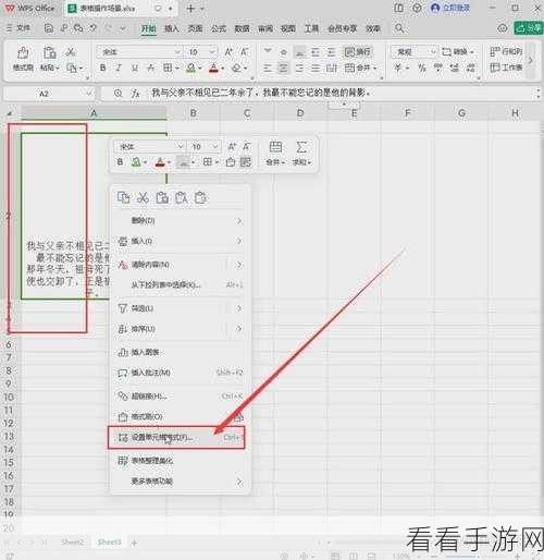 WPS 文档表格文字回车异常解决秘籍