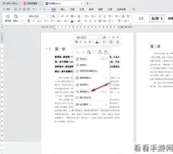 轻松掌握,WPS 文档修改痕迹设置秘籍
