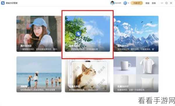 轻松掌握!PR 为视频添加水印的绝佳方法教程