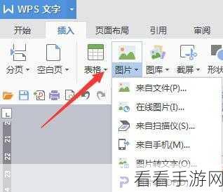 WPS Word 文字加框秘籍，轻松掌握添加边框技巧