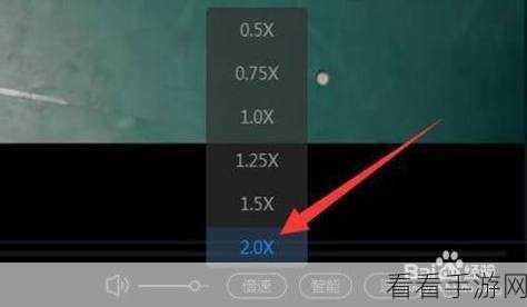 轻松掌控 Wise Video Player 倍速播放视频秘籍