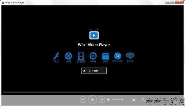 轻松掌握！Wise Video Player 视频截图秘籍大公开