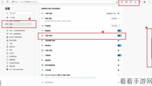 轻松搞定！Edge 浏览器显示选项卡操作菜单秘籍
