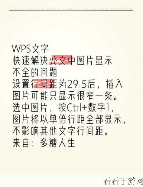 Word 中图片显示不全？终极解决秘籍在此！