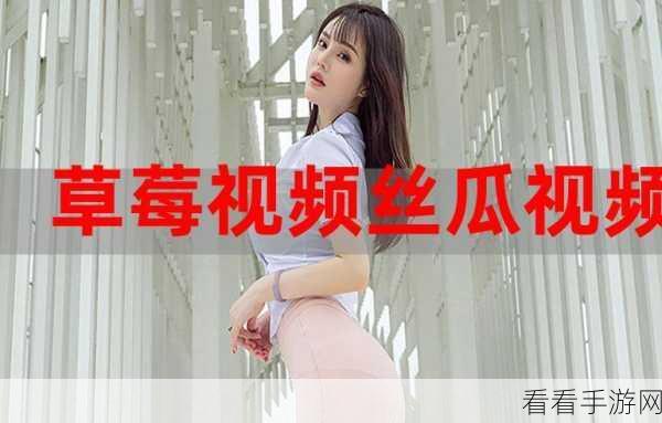 草莓视频4040：发现草莓视频4040：畅享无限精彩与创意时刻