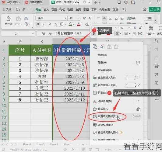 掌握 WPS 表格单元格输入提示设置，提升办公效率秘籍