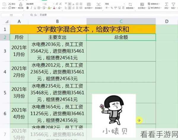 告别 WPS 表格小数显示烦恼！精准保留两位小数秘籍