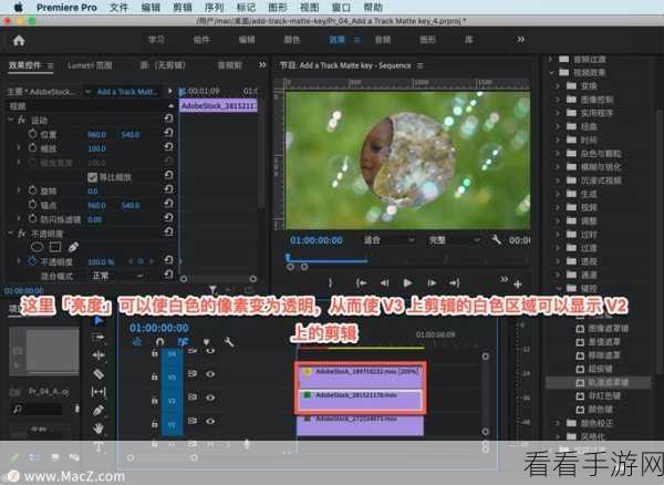 PR 软件视频图片背景添加秘籍——详细教程指南