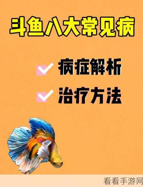 斗鱼直播轻松开播秘籍,详细步骤与技巧大揭秘