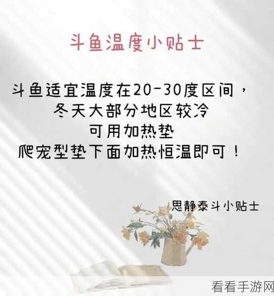 斗鱼直播轻松开播秘籍,详细步骤与技巧大揭秘