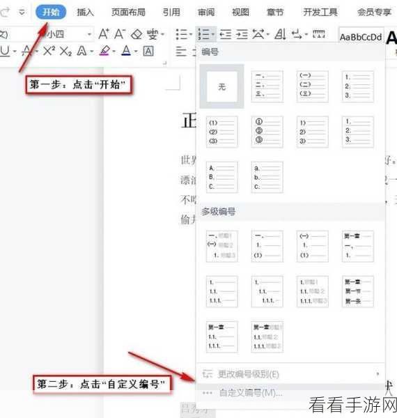 WPS 参考文献格式设置秘籍，详细步骤大公开