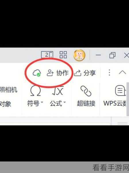 电脑版 WPS 文档竖写秘籍，一步到位的设置指南