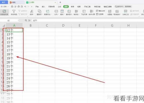 轻松掌握！WPS Excel 中一列内容巧分成多列的秘籍