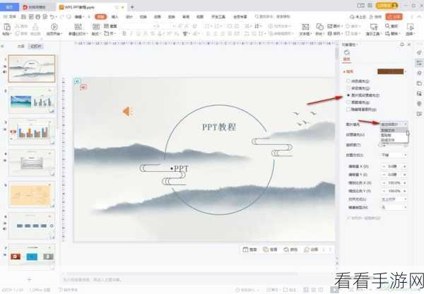 轻松搞定 WPS PPT 背景色填充秘籍