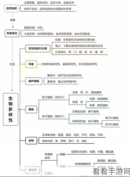 MindLine 思维导图复制粘贴秘籍大公开