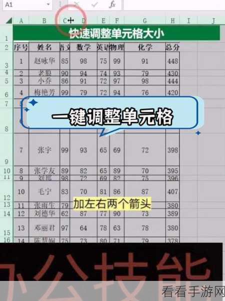 轻松搞定 Excel 单元格大小调整秘籍