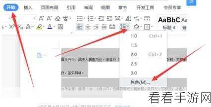 WPS 全屏演示完美占屏秘籍,详细设置方法大揭秘