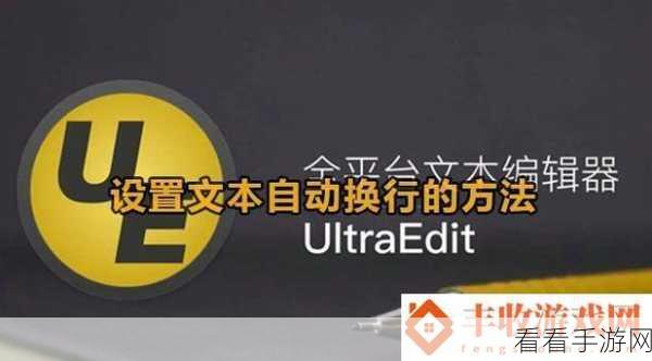 轻松搞定 UltraEdit 自动换行设置秘籍