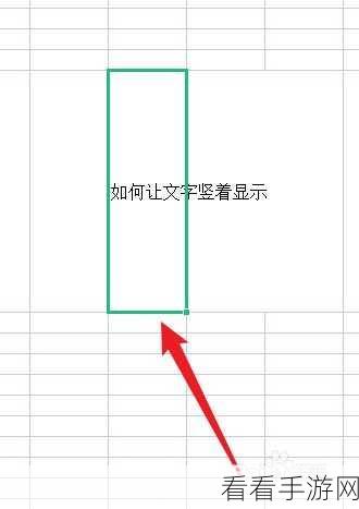 轻松掌握！电脑版 WPS 表格竖向文字输入秘籍