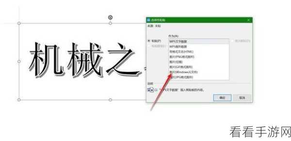 轻松搞定电脑版 WPS 文档镜像字设置秘籍