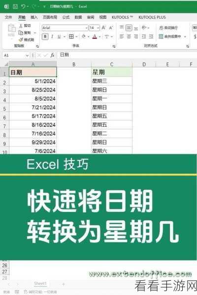 轻松搞定！WPS Excel 中日期格式的巧妙转换
