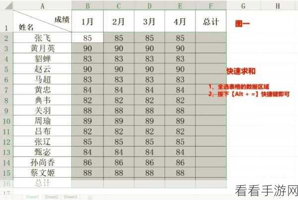 Excel 表格求和秘籍，简单几步轻松搞定