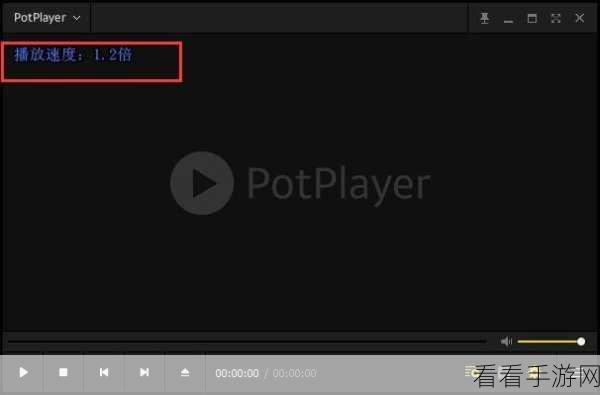 轻松掌握！PotPlayer 查看播放信息秘籍