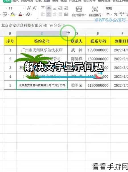 SPSS 列宽调整秘籍，轻松搞定单元格列宽设置