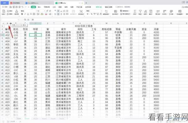 WPS Excel 电脑版 AB 列消失？超全恢复攻略在此！