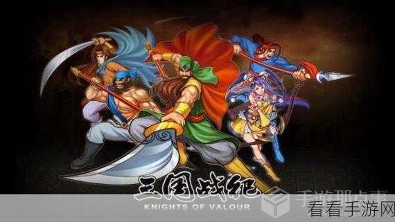 星耀游戏三国战纪最新版下载-采用全新画面的三国街机游戏