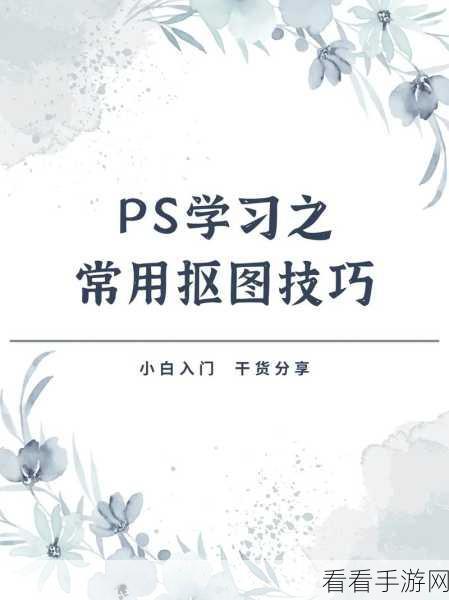 掌握 PS 抠图秘籍，Adobe Photoshop 抠图方法全解析