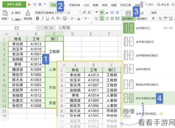 轻松掌握！WPS 表格单元格填充图片秘籍