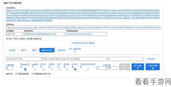 掌握秘籍！Edge 浏览器借助 IDM 轻松下载视频