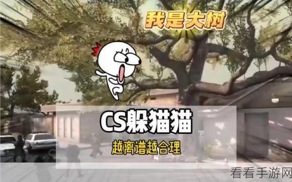 热门手游新体验，CS躲猫猫大挑战，下载即享趣味对决！