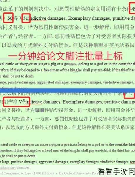 Word 脚注设置秘籍，轻松掌握文档添加与设置技巧