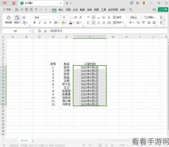 电脑版 WPS 表格，隐藏部分单元格的秘诀大公开