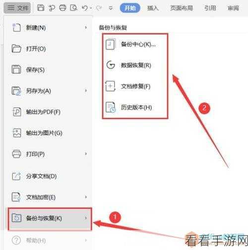 轻松掌握 WPS Word 双行合一设置秘籍