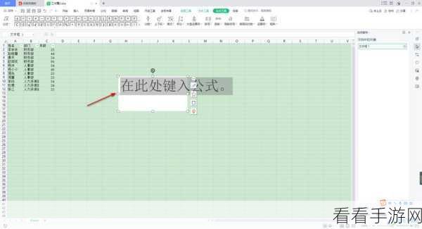 轻松掌握！WPS Excel 数字上下标输入秘籍