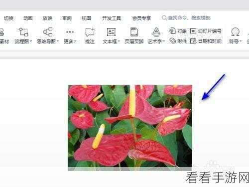 掌握 WPS PPT 图片动画隐藏技巧，打造精彩演示