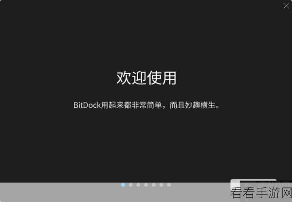 轻松掌握 BitDock 比特工具的图标尺寸设置秘籍