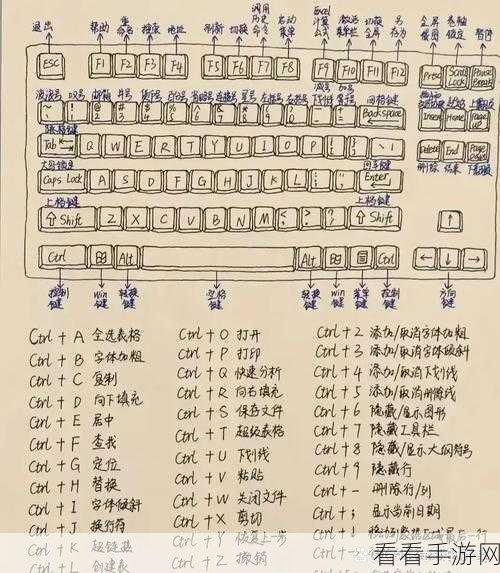 掌握 sai 笔刷快捷键设置，绘图效率大提升！