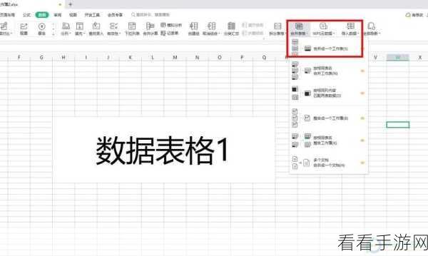 掌握 WPS Excel 合并格子按行数降序的秘籍