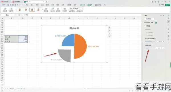 轻松搞定！WPS Excel 饼图百分比显示秘籍