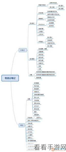 轻松找回电脑版有道云笔记的历史记录，秘籍在此！