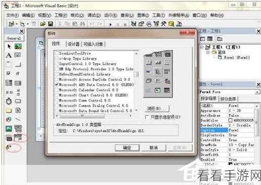 轻松搞定 Access 性别选择，男与女设置秘籍